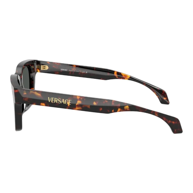 VERSACE VE4486 Sunglasses-2