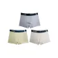Beige Gray, Green, Beige Apricot