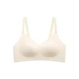 1 Pack[Champagne White]