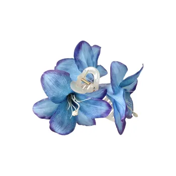 ZANC Acrylic Hair Clips Women's