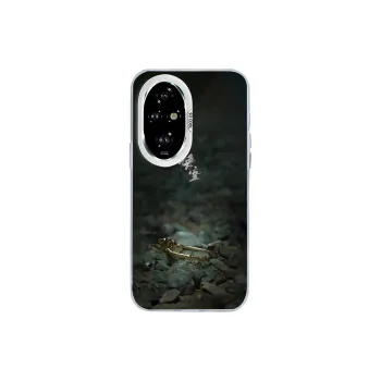 Kona Chun Phone Cases