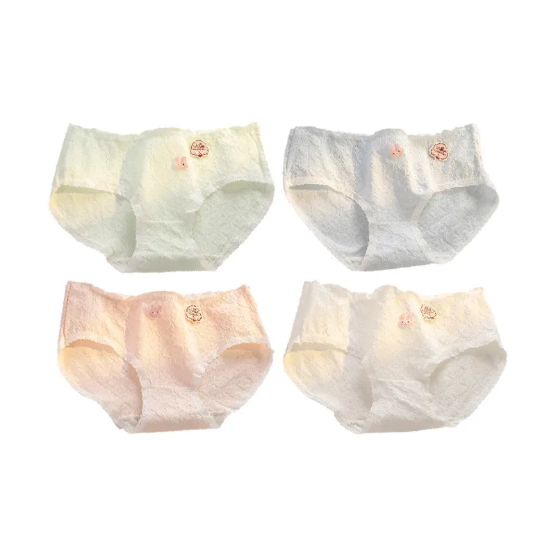 Close fitting Areas Underpants Women's 4 Pack-7