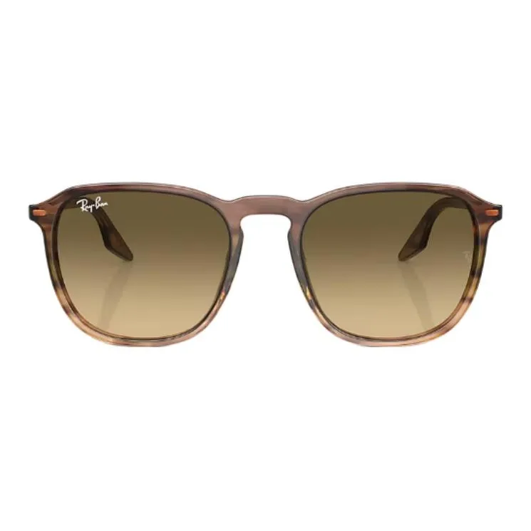 RayBan Erika Round frame Sunglasses-1