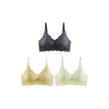 Black Panther, Yellow Leopard, Clear Green Leopard
