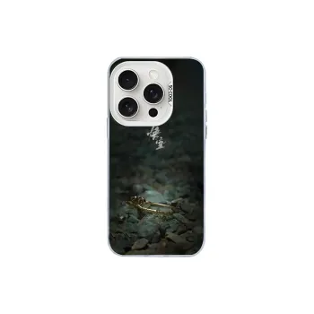 Kona Chun Phone Cases