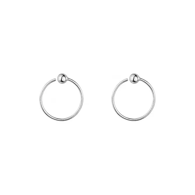 ZSY S925 Silver Earrings Women's Box-0