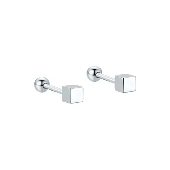 Century Edge Jewelry S925 Silver Stud Earrings Women's