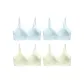 4 Pack (Blue 2+Green 2)