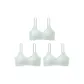3 Pack Mint Green