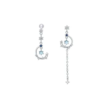 Century Edge Jewelry S925 Silver Earrings Women's