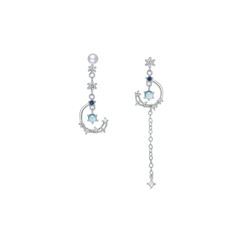 Century Edge Jewelry S925 Silver Earrings Women's-0