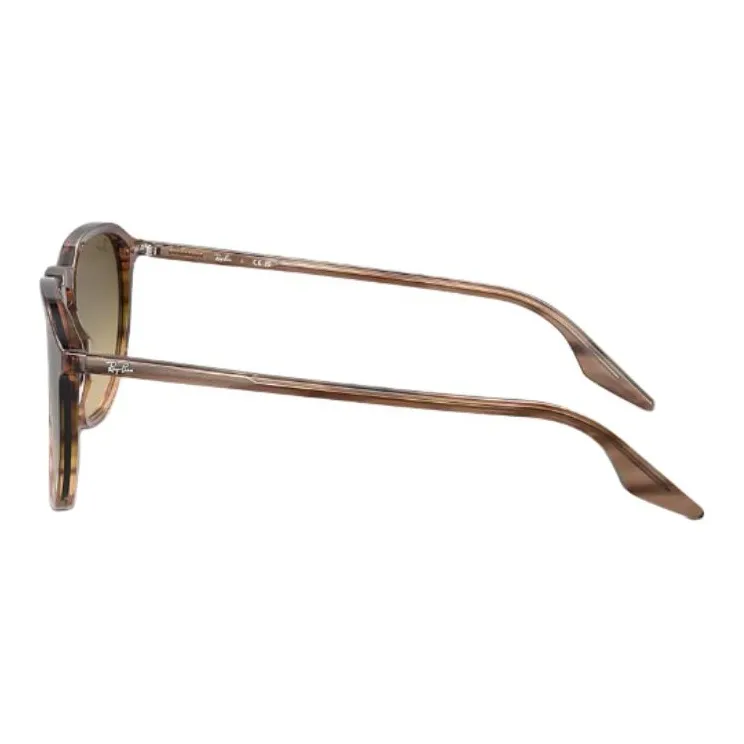 RayBan Erika Round frame Sunglasses-2