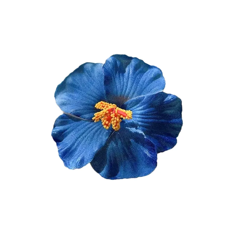 ZANC Plastic Hair Clips Women's-0