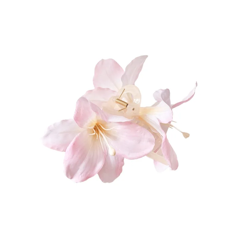 ZANC Acrylic Hair Clips Women's-0