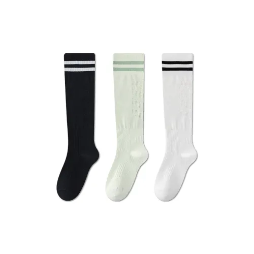 AUGUST Knee High Socks Women's 3 Pack