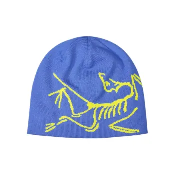 Arcteryx Lightweight Bird Head Toque Beanie