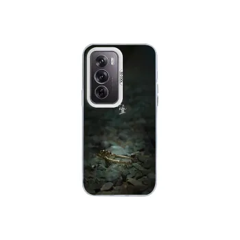 Kona Chun Phone Cases