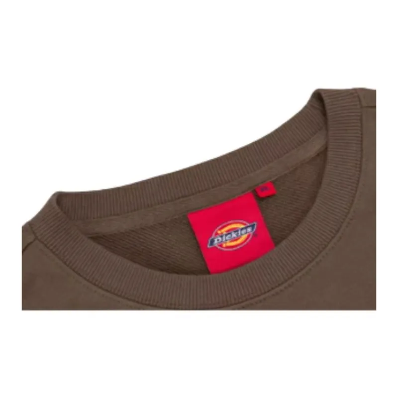 Dickies Sweatshirts Unisex Brown-2