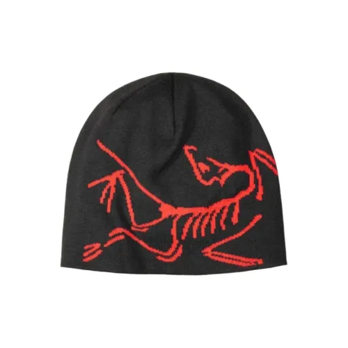 Arcteryx Lightweight Bird Head Toque Beanie