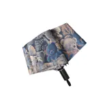 Illustration Bear Trifold Manual