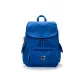 PACK-Cotinga Blue