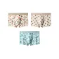 3 Pack[Honeys Yellow+Ginkgo Yellow+Starry Blue]