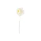 Milk White Spherical SPA Shower Brush: 1 Pc
