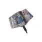 Illustration Bear _ Trifold Automatic