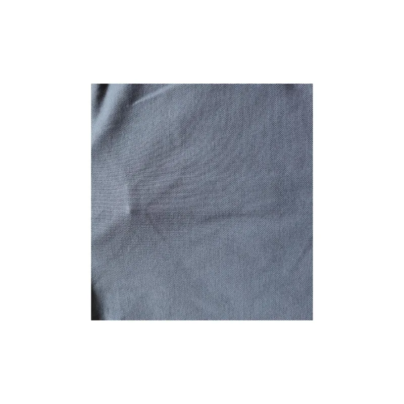 Moncler Polo Shirt Men's Haze Blue-2