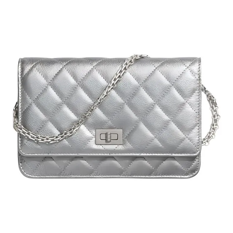 CHANEL WOC Crossbody Bags-0