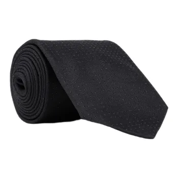 Lanvin Ties Men