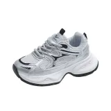 Silver Gray