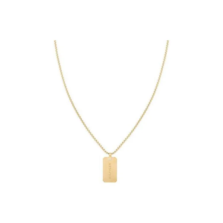 Tommy Hilfiger Stainless Steel Necklaces Men's Gold-0