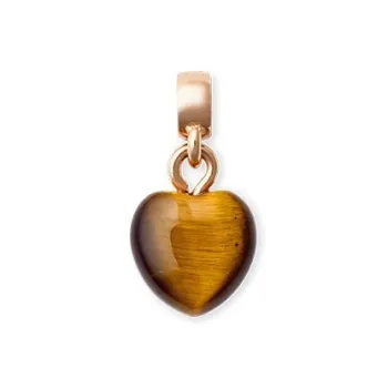 Daniel Wellington CHARMS Whisper Tiger's Eye Stone Pendants Unisex
