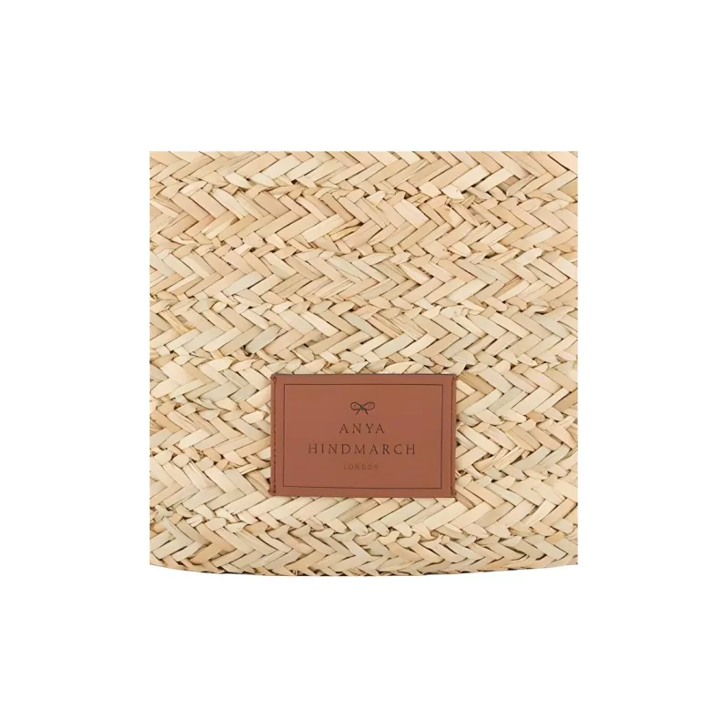 Anya Hindmarch Clutches-4