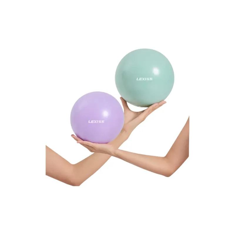 LEXI Yoga Balls PVC Unisex Purple-1