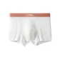 Orange (1 Pack)