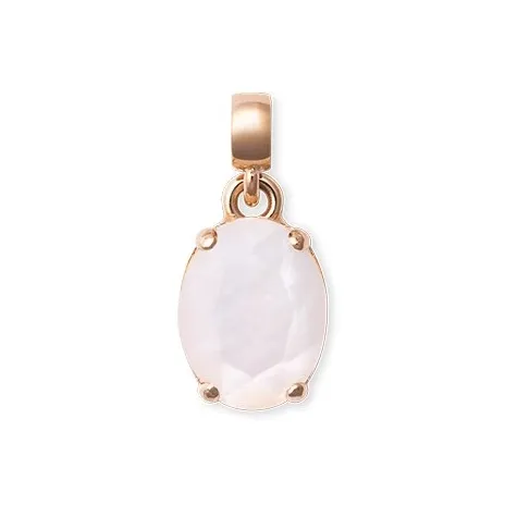 Daniel Wellington CHARMS Whisper Mother Of Pearl, Alloy Pendants Unisex