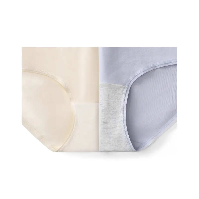 Close fitting Areas Underpants Women's 4 Pack-3