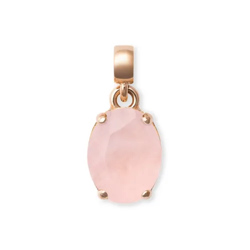 Daniel Wellington CHARMS Whisper Alloy Pendants Women's