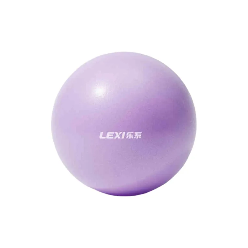 LEXI Yoga Balls PVC Unisex Purple-0