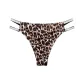 Wild Leopard