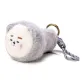 Brave Bear Goes Wild-Gray[Flashlights]