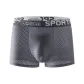 WK1234 Dark Gray (0-2)