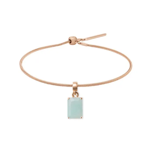 Daniel Wellington Alloy Bracelets Unisex