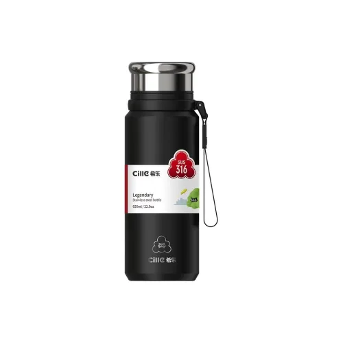 XILE Large Capacity Insulated Cup Portable Business Water Cup Premium With Tea Infuser Tea Brewing Cup 650ml
