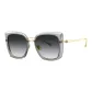 BL6112A11 Transparent Gray[Non-Polarized]