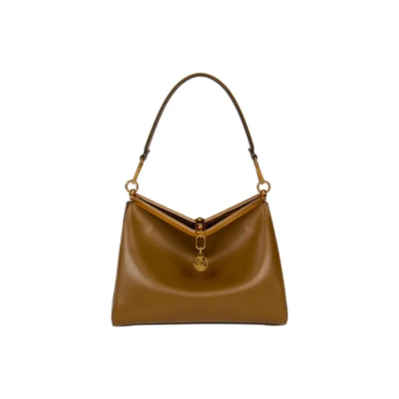 ETRO Calfskin Shoulder Bag, Crossbody Bag, Handbag Medium Size Women's Coffee-0