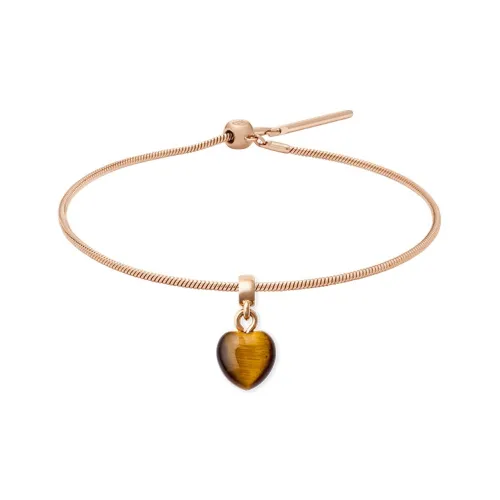 Daniel Wellington CHARMS Whisper Tiger's Eye Stone Bracelets Unisex