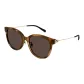 Tortoiseshell